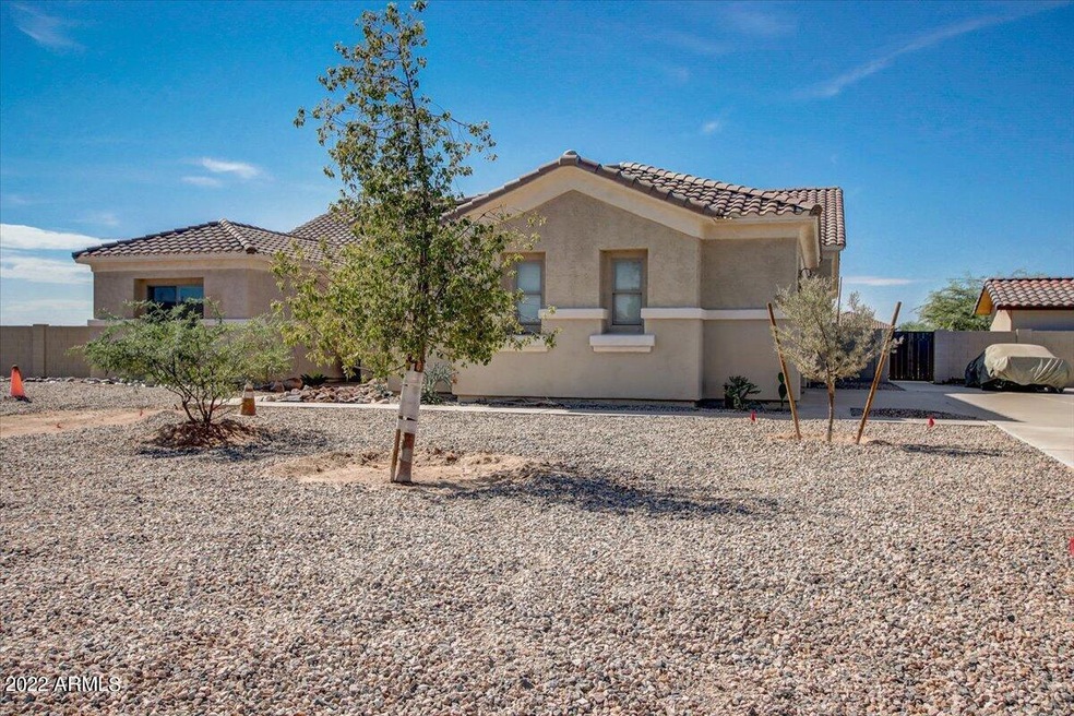 Gelding Ln front of home 2