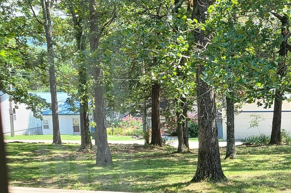 Lot 10 N Busch, Kimberling City, MO 65686 - photo 1