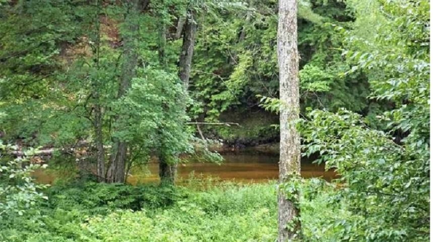 7 Dustin Rd, Warner, NH 03278 - photo 1