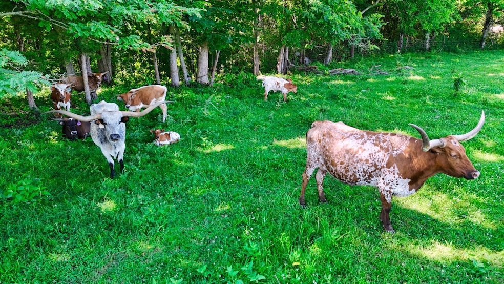 Under Contract $495,000