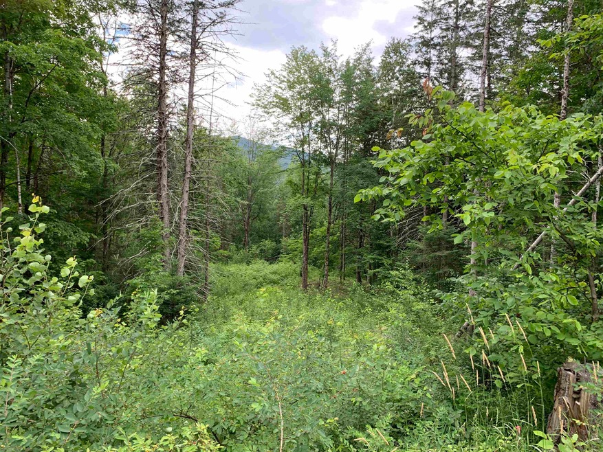00 Burke Hollow Rd unit ust, Burke, VT 05871 - photo 1