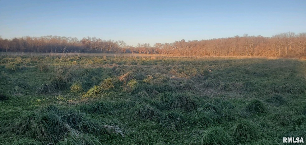 20322 N 500th St, Shumway, IL 62461 - photo 1