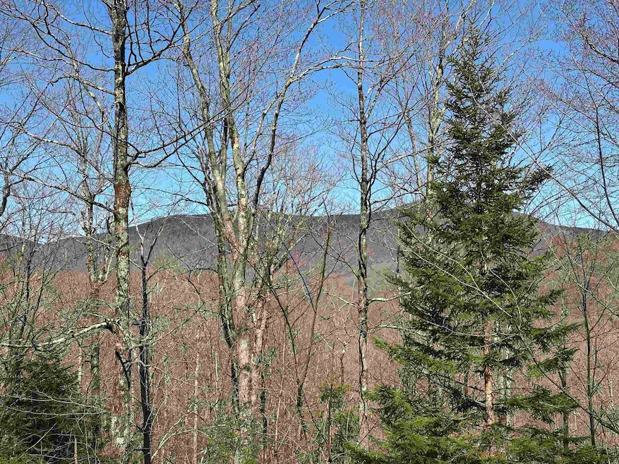 00 Ice Pond Rd, Chittenden, VT 05763 - photo 1