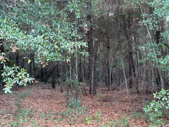 Lot 32 Marie Ln, Bainbridge, GA 39817 - photo 1