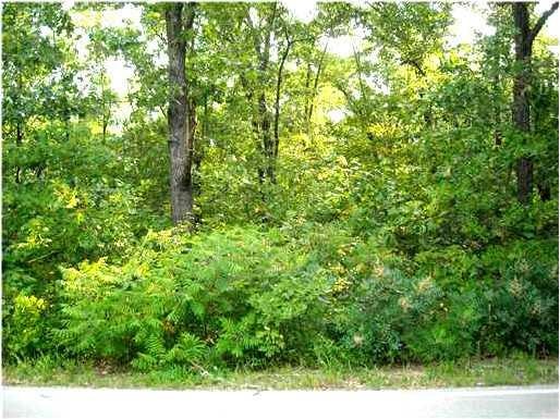 0 Cunningham Dr unit 720240, Bella Vista, AR 72715 - photo 1