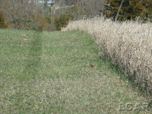 8000 Parkhurst Hwy unit Carroll Dr ((1175), Addison, MI 49220 - photo 1