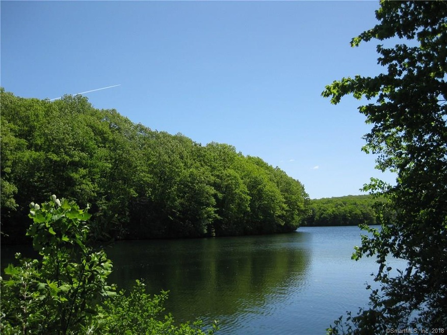 350 Silver Springs Dr, Higganum, CT 06441 - photo 1