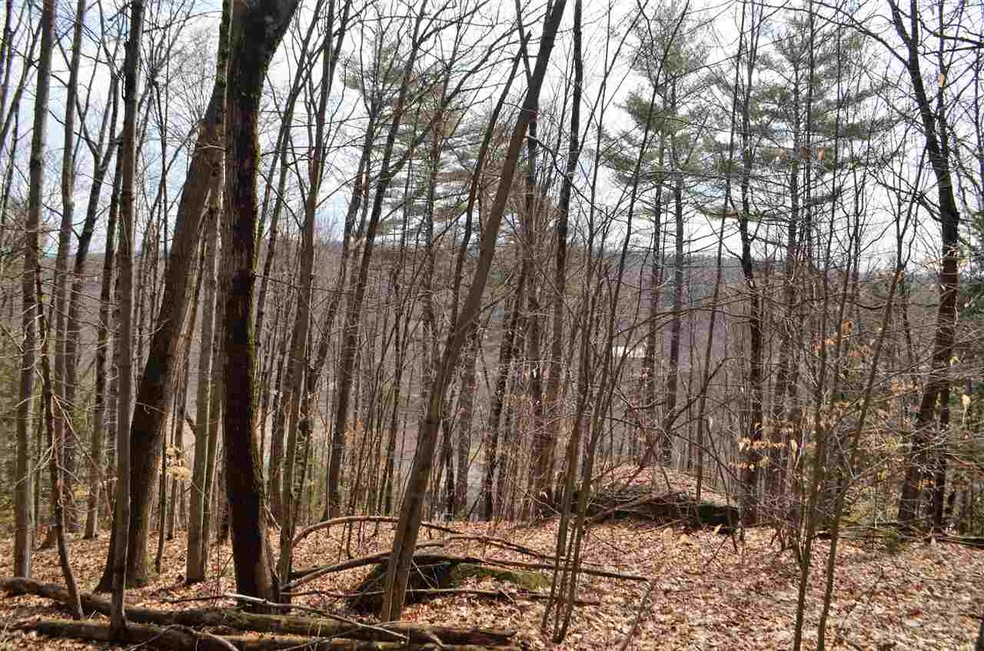 000 Deer Run unit Map 1, Lot 359 J, Henniker, NH 03242 - photo 1