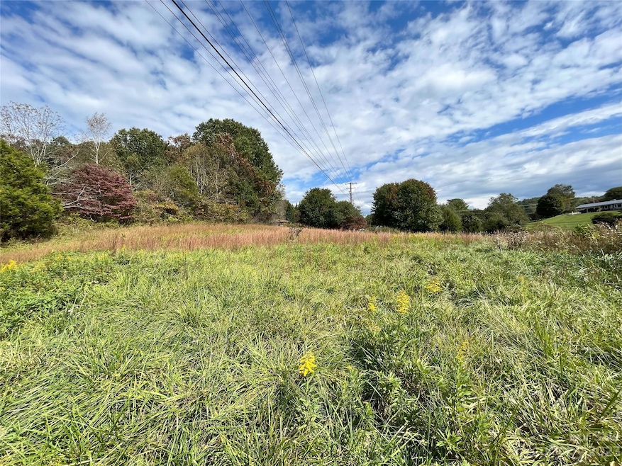 54 Maple Hill Rd, Burnsville, NC 28714 - photo 1