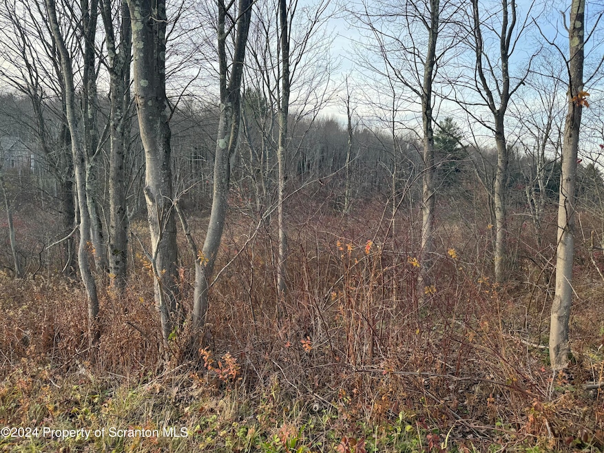 0 Shust Rd unit GSBSC5708, Greenfield Township, PA 18407 - photo 1