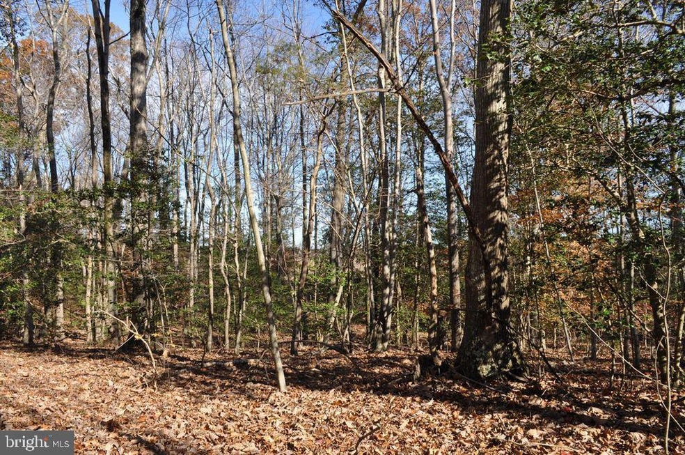 0 Flat Iron Rd unit VAWE117930, Montross, VA 22520 - photo 1