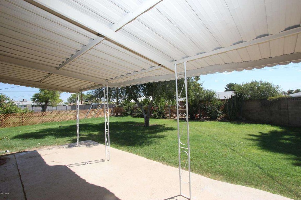 Patio Yard