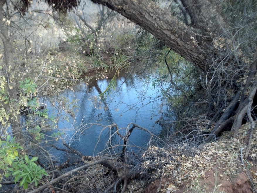 unlisted-address, Cornville, AZ 86325 - photo 1