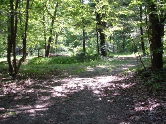 1263 Brookman Rd, Pownal, VT 05261 - photo 1