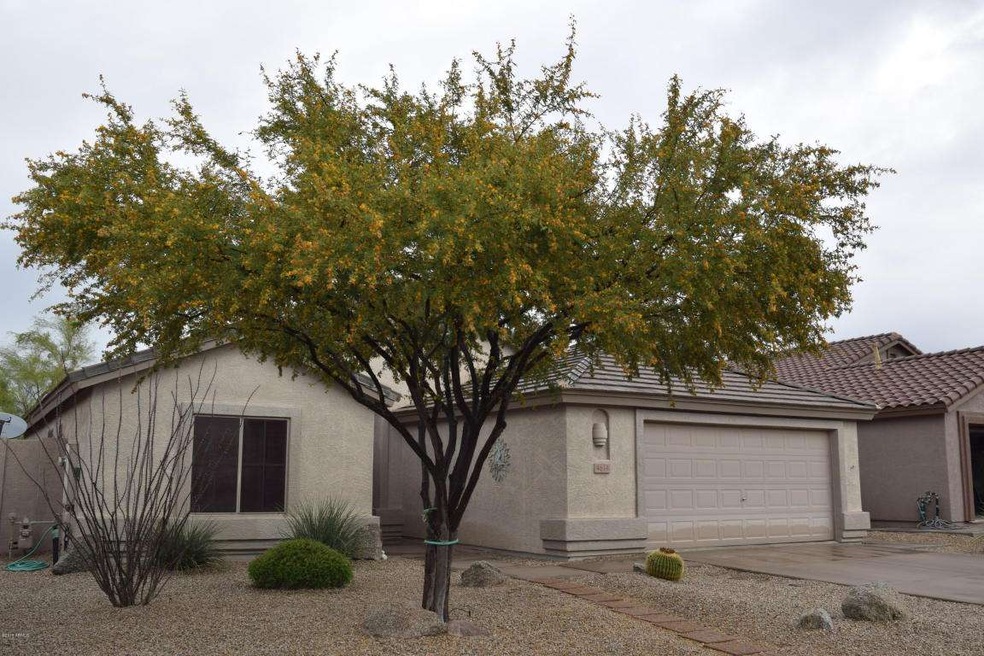 Front Thorn Tree