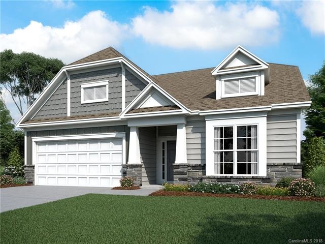 Elevation rendering only.