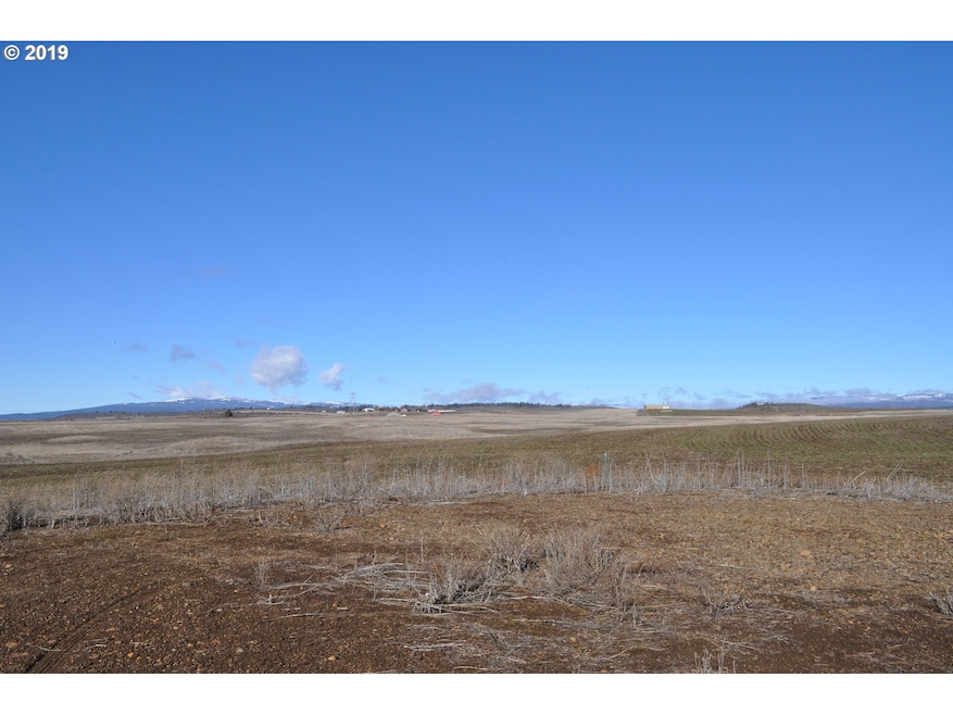0 Fenton Ln unit 719304357, Goldendale, WA 98620 - photo 1