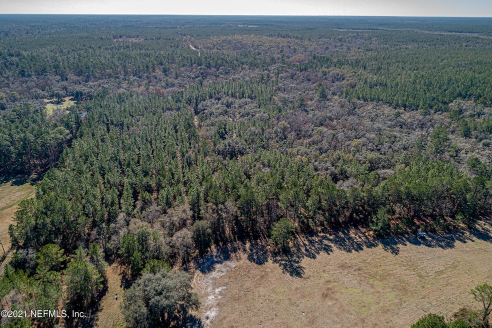 0 Inglewood Dr unit 1093139, Middleburg, FL 32068 - photo 1