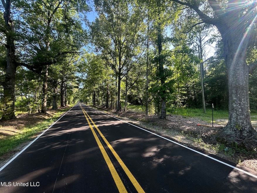 Road Frontage View