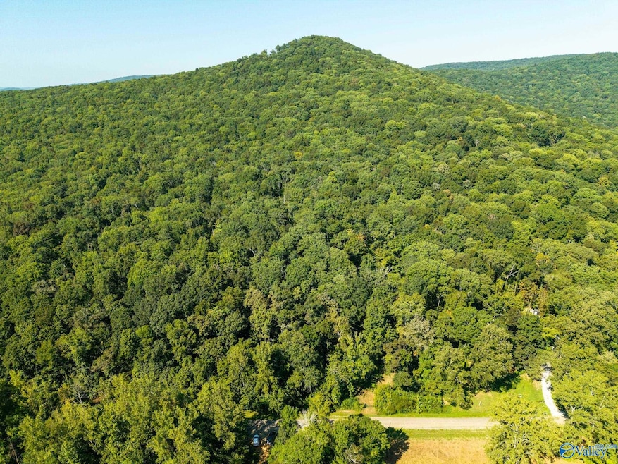 6.5 Acres Rock Spring Rd, Owens Cross Roads, AL 35763 - photo 1