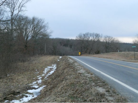 Primary Photo