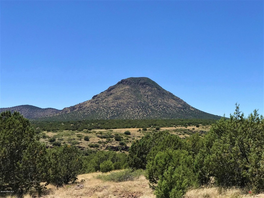 0 Picacho Butte unit 1032224, Ash Fork, AZ 86320 - photo 1