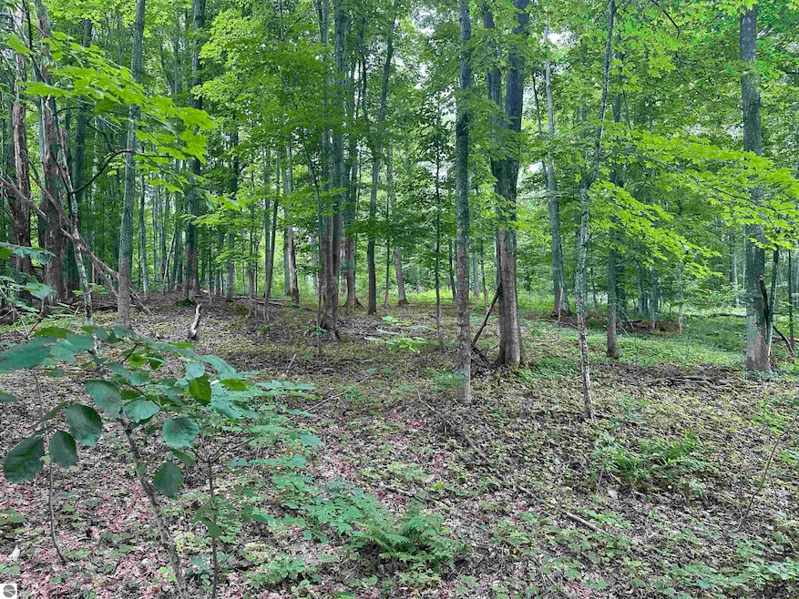 11599 S Tower Rd, Kasson Township, MI 49664 - photo 1