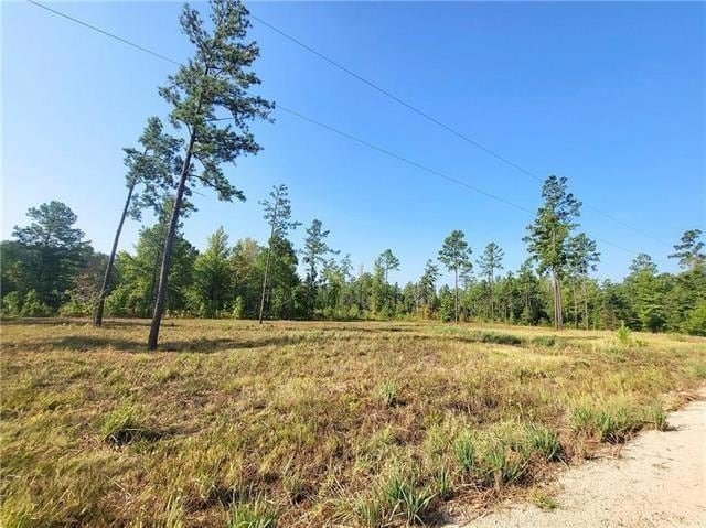 0 Hwy 117 Lot 10 Hwy unit 2531753, Provencal, LA 71468 - photo 1