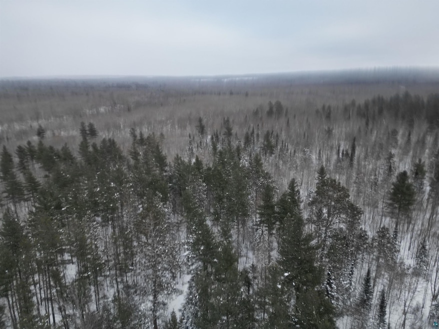 000 Campbell Rd, Clover, WI 54844 - photo 1