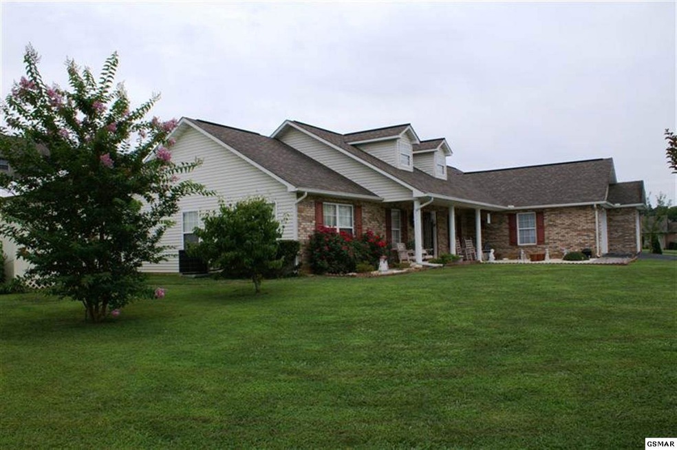 Main View