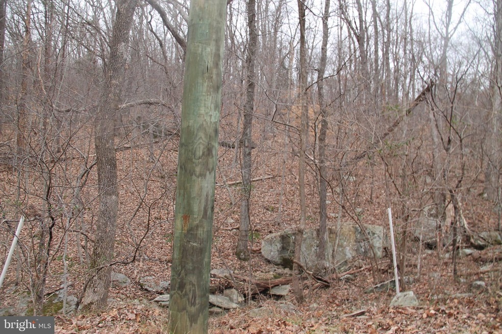 Lot 7 Carters Run Rd, Marshall, VA - photo 1