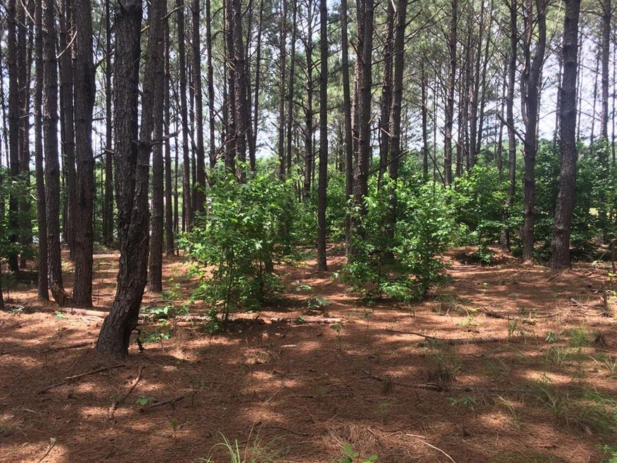 14523 Beckenridge Dr, Upatoi, GA 31829 - photo 1