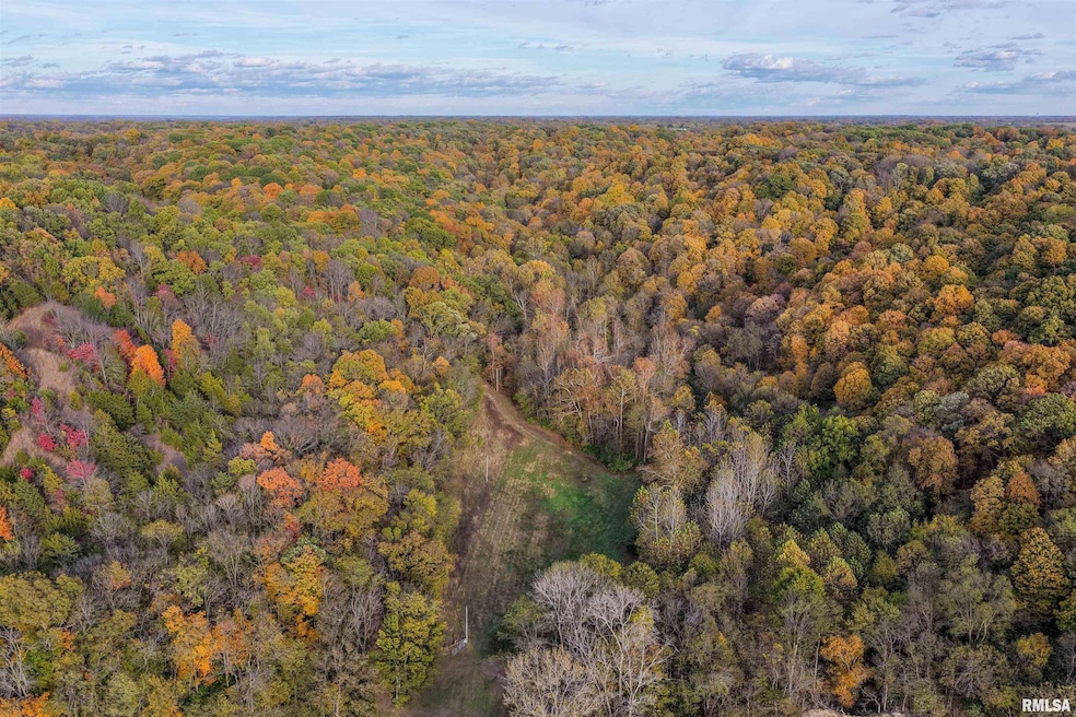 00 Eldred Rd, Richwood Township, IL 62031 - photo 1