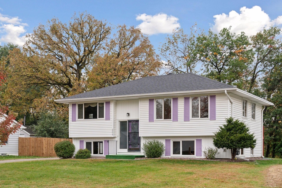 253 Stardust Blvd, Circle Pines, MN 55014 - photo 1