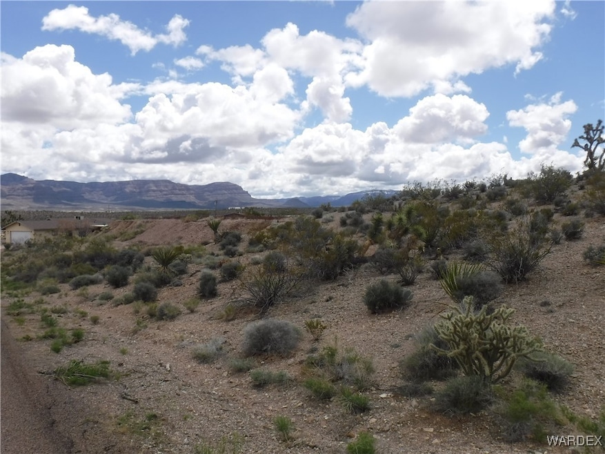 160 Dunn Dr, Meadview, AZ 86444 - photo 1