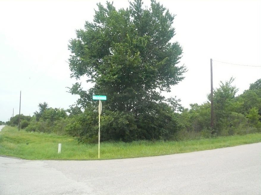 3311 Muegge Rd, Rosenberg, TX 77471 - photo 1