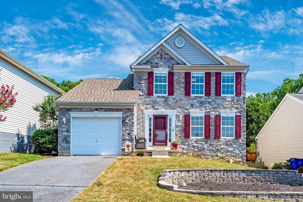 723 Brunswick St, Brunswick, MD 21716 - photo 1