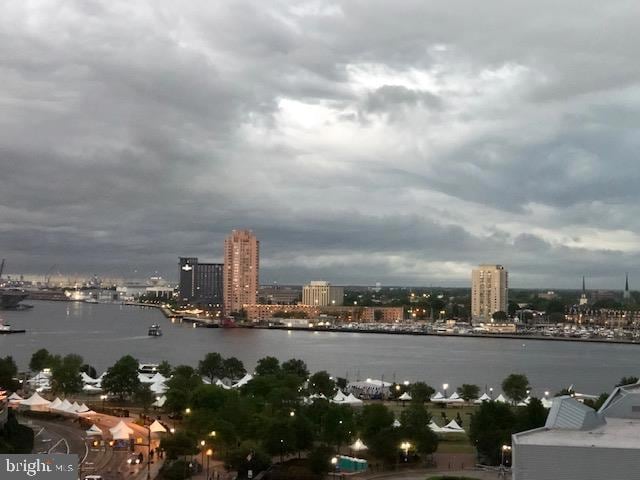 Harbor Place unit 1004, Norfolk, VA 23510 - photo 1