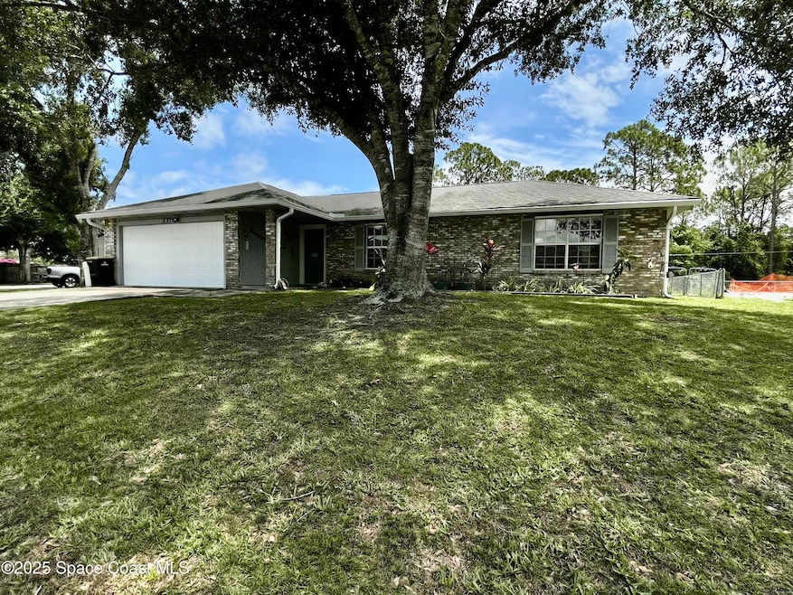 jacaranda front