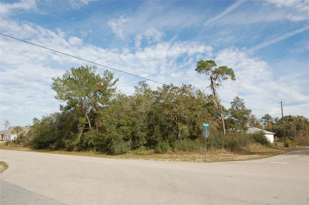 0 SW Marion Oaks Ln unit MFROM668948, Ocala, FL 34473 - photo 1