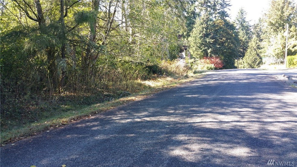 10708 Seaview Dr unit AI, Anderson Island, WA 98303 - photo 1