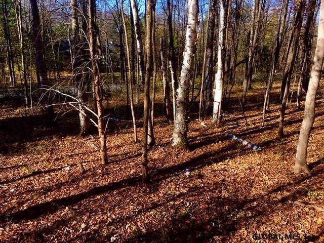 L163 Cleverdale Rd, Glens Falls, NY 12804 - photo 1