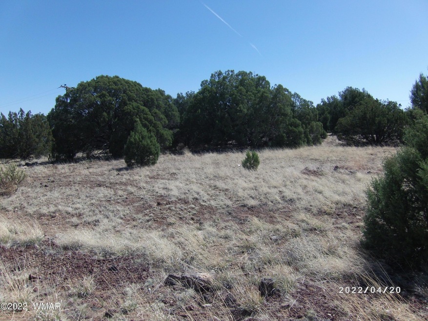 Land For Sale White Mountain Lakes