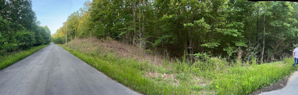 0 Ln unit 1524864, South Pittsburg, TN 37380 - photo 1