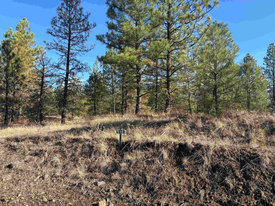35430 Prairie Ln N unit Lot 3, Creston, WA 99117 - photo 1