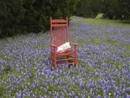 22183 Shady Grove Ct, Whitney, TX 76692 - photo 1