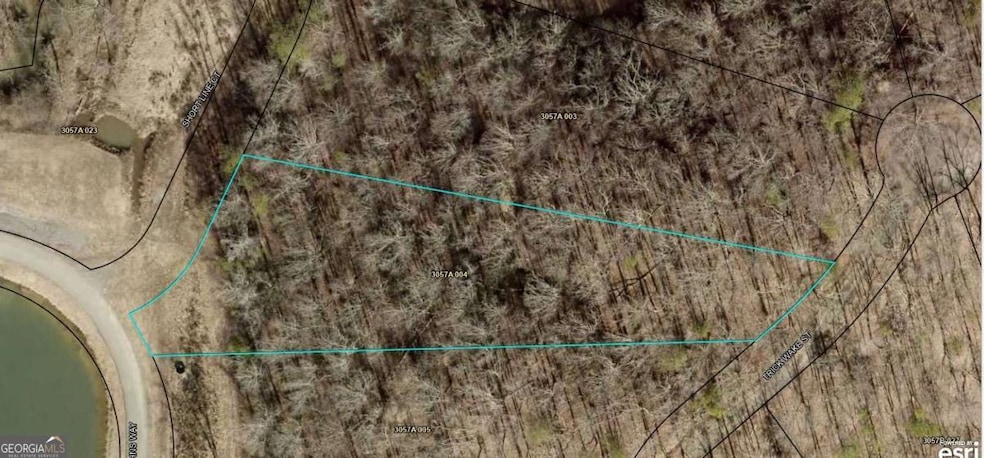 0 Trick Wake St unit 10650331, Talking Rock, GA 30175 - photo 1