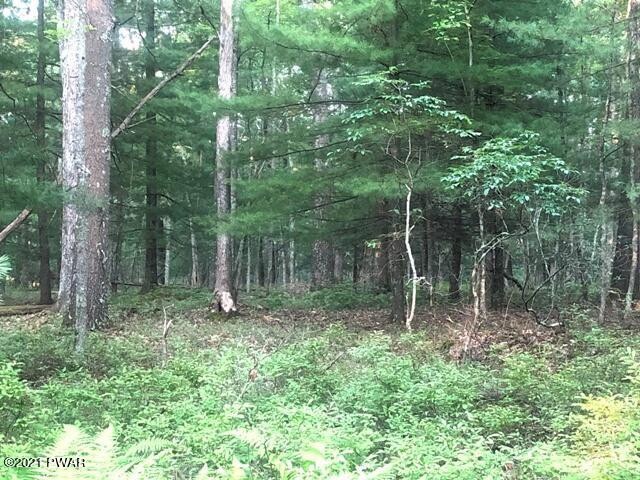 9 Briarcrest Dr, Lackawaxen Township, PA 18428 - photo 1