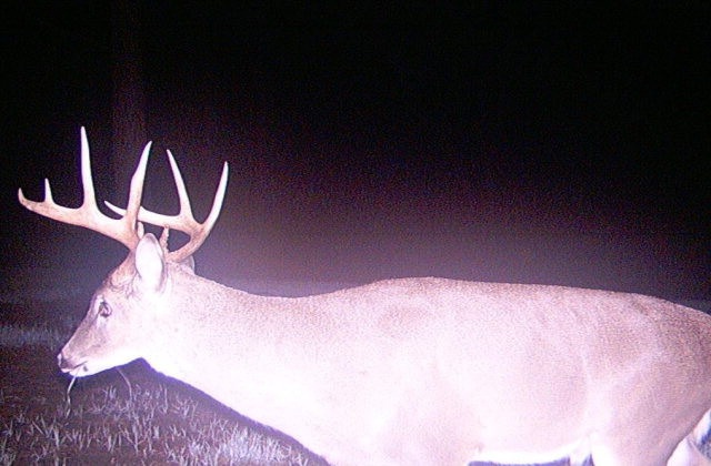 341 Magee Hill Rd, Tylertown, MS 39667 - photo 1