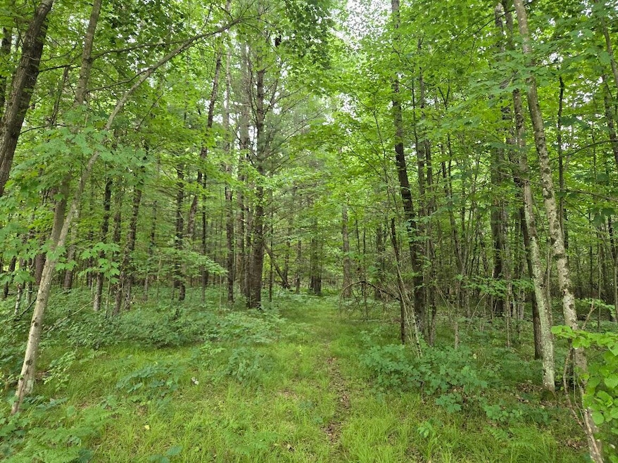 5369 E 68th St, Chase Township, MI 49623 - photo 1